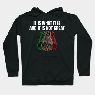 It Is What It Is And It Is Not Great Funny Raccoon Hoodie